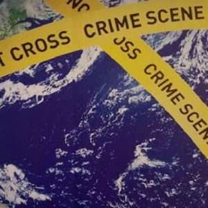 Environmental crimes boost terrorists in Africa